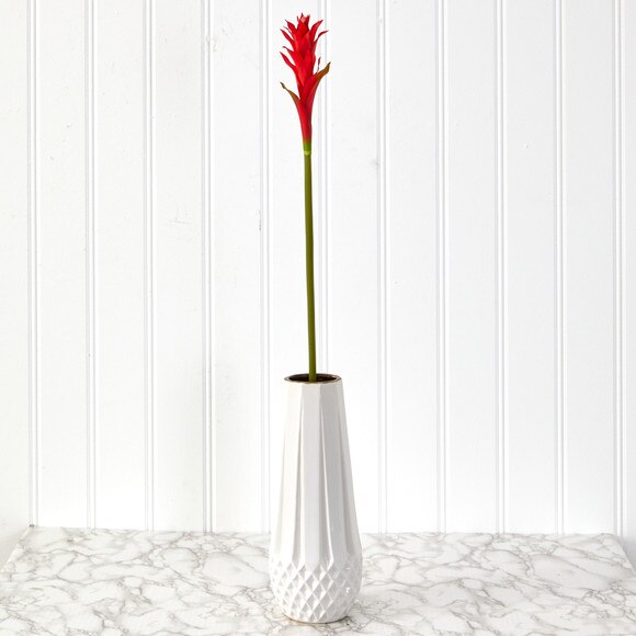 28 Mini Star Bromeliad - SKU #2362 - 5